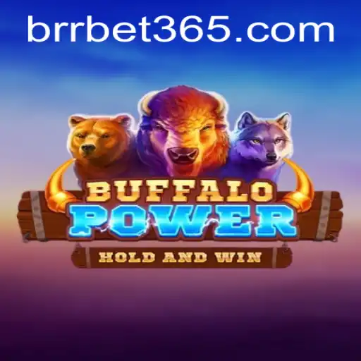 Exploring BuffaloPower and Its Features with BRR.BET
